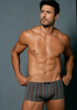 Boxer