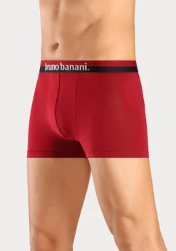 Boxer