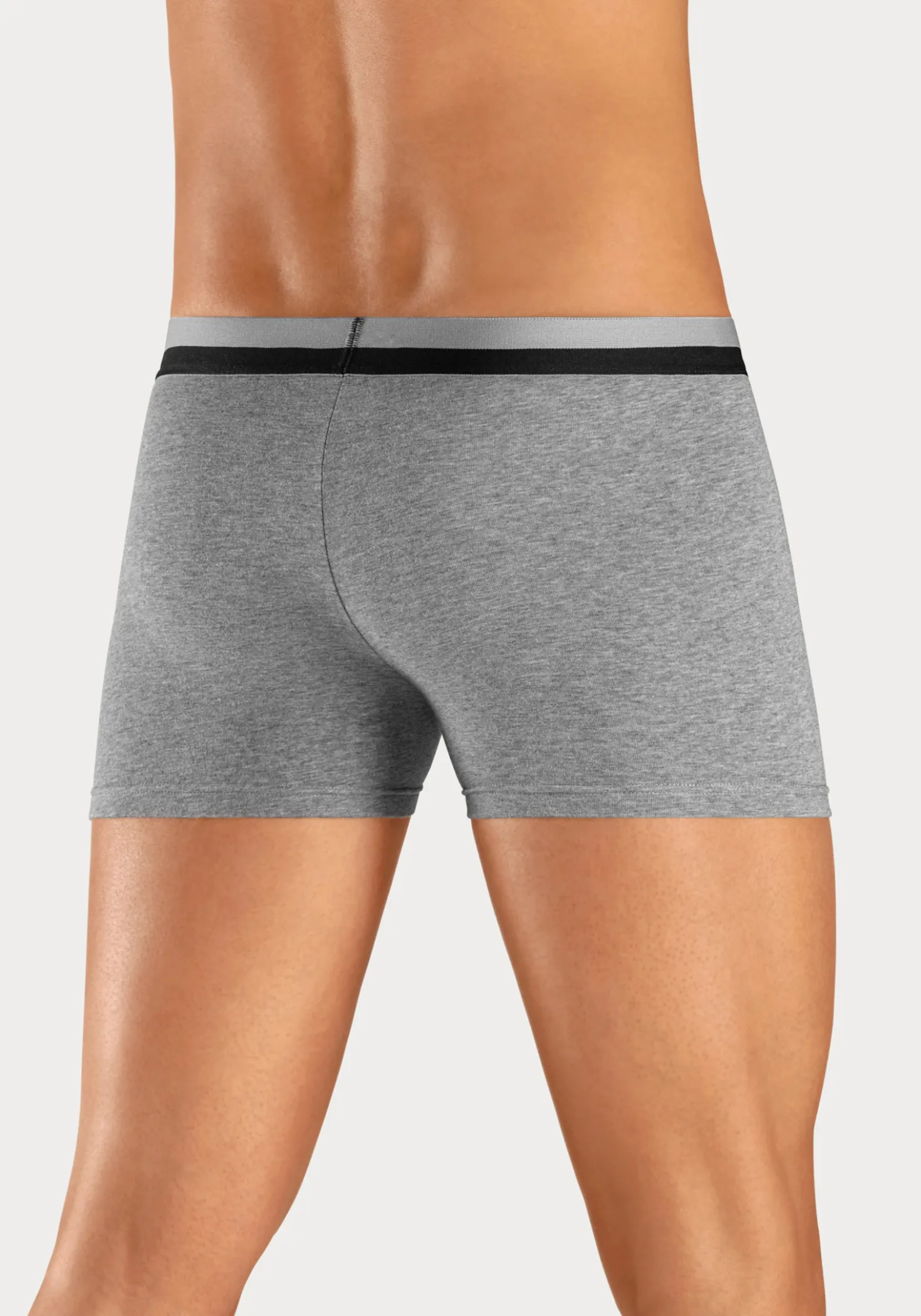 Boxer