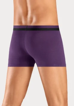 Boxer