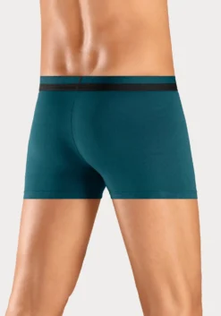 Boxer
