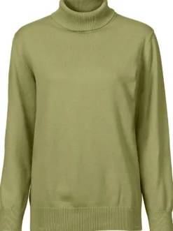 Rollkragenpullover aus reiner Baumwolle