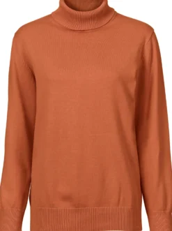 Rollkragenpullover aus reiner Baumwolle