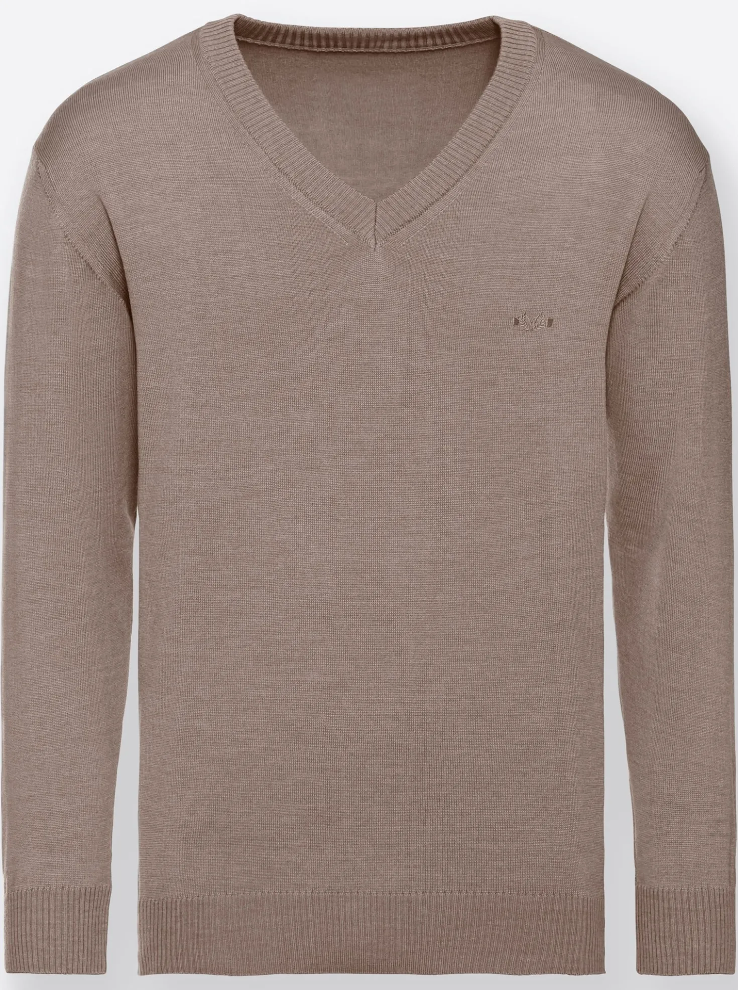 V-Ausschnitt-Pullover